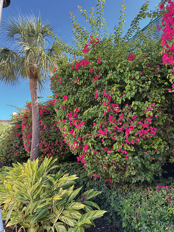 The beautiful Vinoy Renaissance Resort & Golf Club in St. Petersburg, FL.